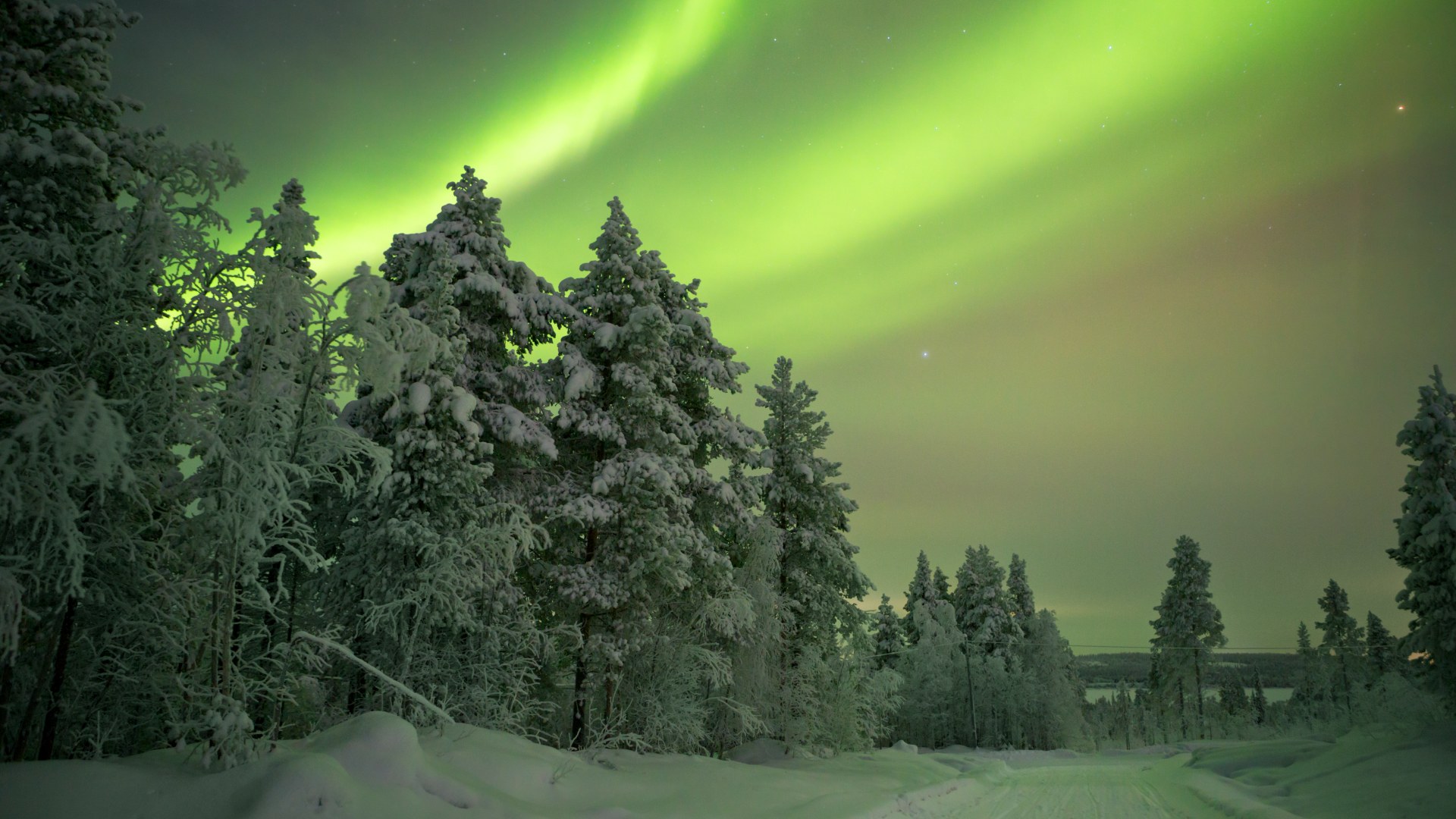 aurora borealis over a track in winter finnish lapland