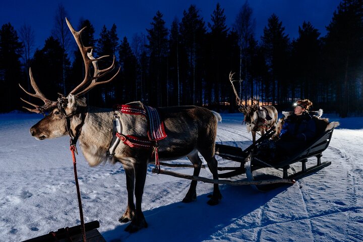 Reindeer Sledding Night Tour ©Apukka Resort